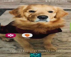 Influencer Marketing for Lifestyle by Ravi Bhagat