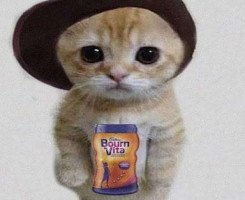 Ali -  Fashion & Apparel Influencer